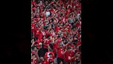 جماهير الأهلي (3)