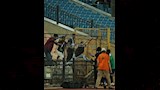 احتفال لاعبي الشرقية إنبي (8)