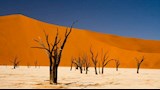 الكثبان الرملية الحمراء في ناميبيا
