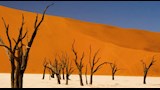 الكثبان الرملية ذات اللون الأحمر المريخي في سوسوسفلي