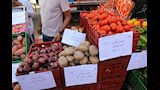 افتتاح سوق اليوم الواحد بوسط القاهرة (18)