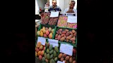 افتتاح سوق اليوم الواحد بوسط القاهرة (1)