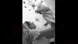 دانيلا رحمة ونجلها إلياس