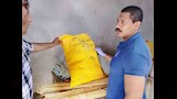 ضبط مصنع موتزاريلا داخل حظيرة مواشي بالفيوم (2)