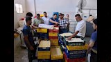 ضبط مصنع موتزاريلا داخل حظيرة مواشي بالفيوم (8)