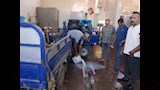 ضبط مصنع موتزاريلا داخل حظيرة مواشي بالفيوم (5)