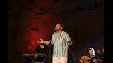 حفل علي الحجار بالقلعة (7)