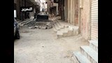 رصف وتطوير شوارع الوراق وجنوب الجيزة (5)