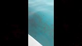 آثار بقعة ريت 