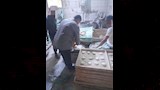 ضبط المخابز_2