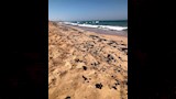 موقع التلوث 