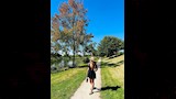 جولة سارة سلامة بجوار البحيرة (3)