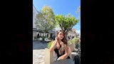 سارة سلامة تجلس على كافية في احد شواع النمسا (2)