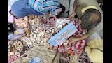 الغلاء يضرب حلاوة المولد والتجار يواجهون الركود بـالأحجام الميني (10)