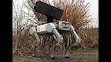 روبوتات صينية (8)