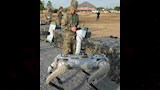 روبوتات صينية (18)