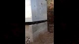 وضع محول كهرباء داخل منزل مواطن فى المنيا (2)