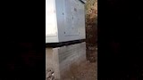 وضع محول كهرباء داخل منزل مواطن فى المنيا (4)