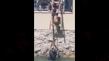 احمد جابر يرفع الطفل بعد انقاذه 
