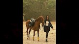 تارا عماد (1)