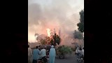 حريق يلتهم أشجار نخيل بالأقصر (2)