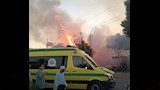 حريق يلتهم أشجار نخيل بالأقصر (5)