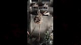 آثار الحريق