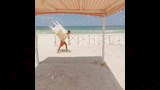 إغلاق شاطئ كناري في الإسكندرية (10)