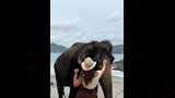 زوجة النني الثانية (19) (1)
