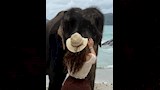 زوجة النني الثانية (20) (1)