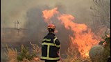 حرائق واسعة تُشعل شمال الجزائر_11_5