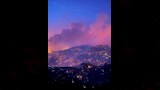 النيران تلتهم الغابات الجزائرية_10_9