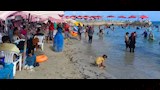 شواطئ الإسكندرية اليوم (2)