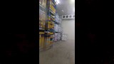 بطاطس