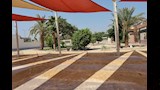 رئيس جامعة المنيا يتفقد حديقة أعضاء هيئة التدريس ومنافذ المنتجات (1)