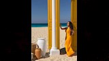 بوسي (4)