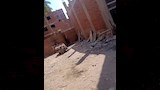 عصابة السرقة الهوليودية بالقلج
