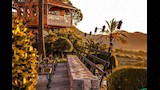 منزل الشجرة في مايوركا