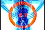 طبيب يحذر من هذه الأعراض: تدل على انهيار وظائف الكلى   