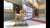 تفاصيل المؤتمر الرابع لطب الخيول التحديات والابتكار (4)