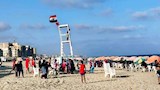 أمواج عاتية وتحذيرات عاجلة.. منع نزول البحر بشواطئ غرب الإسكندرية -صور
