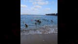 شواطئ الإسكندرية اليوم (12)