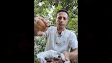 جوافة بحجم الكريز وطعم الفراولة (7)