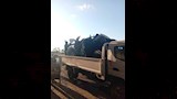 حملات على المحال بالإسكندرية (2)