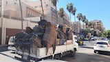 إغلاق 129 محلًا مخالفًا خلال أسبوع في الإسكندرية- صور