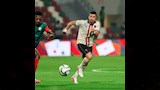 تريزيجيه (1)