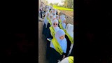 احتفالية تكريم حفظة القرآن بالمنيا (1)
