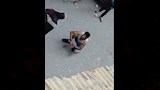 فحص فيديو لشخص ظهر حاملًا سلاحًا أبيض بأرض اللواء (3)