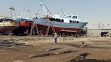 مراكب الجر بالاوناش المميزه على القزق للعمرة