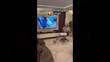 مصطفى حدوتة يشاهد كليب نوغا